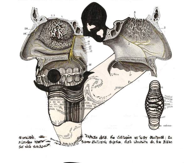 1014476_713682818673220_2207890955393460755_n