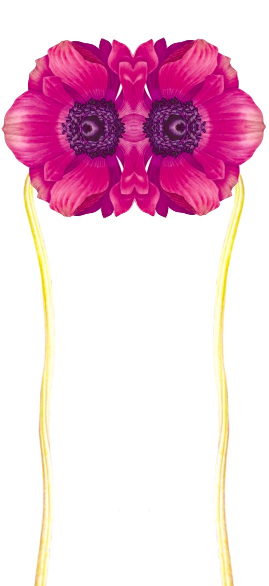 2 Trapped by the Wind's Surrender