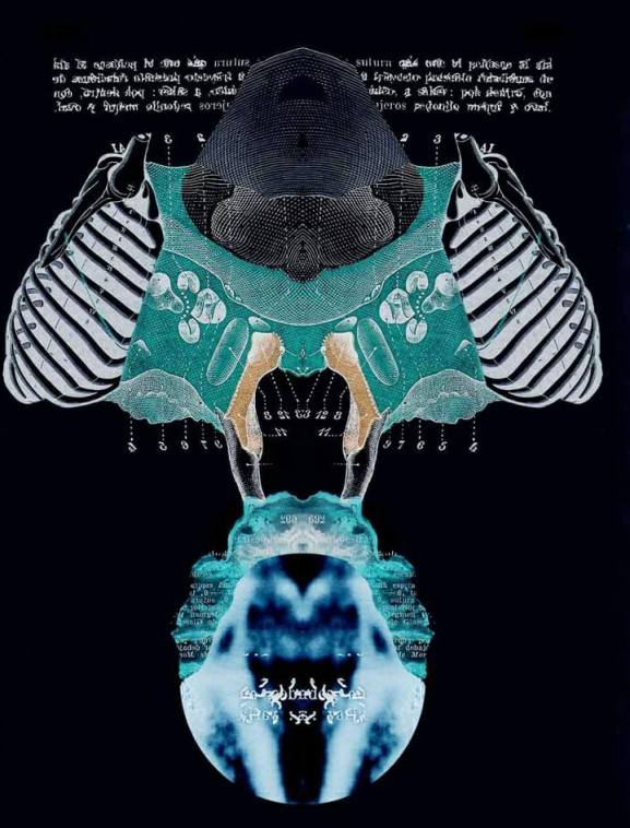 19665183_1650901411618018_4389555919592602444_n