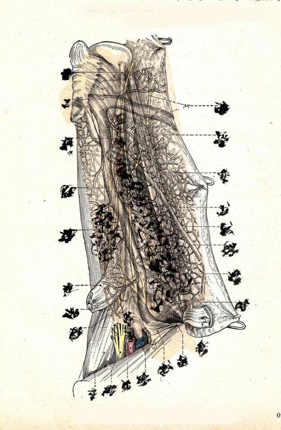 10297562_711700162204819_4253925527768206026_n