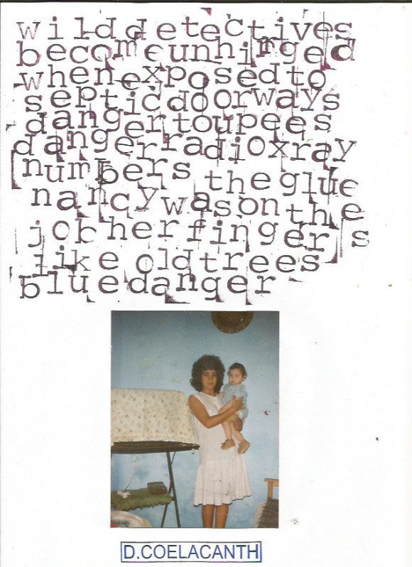 dc-wilddetectives (1)