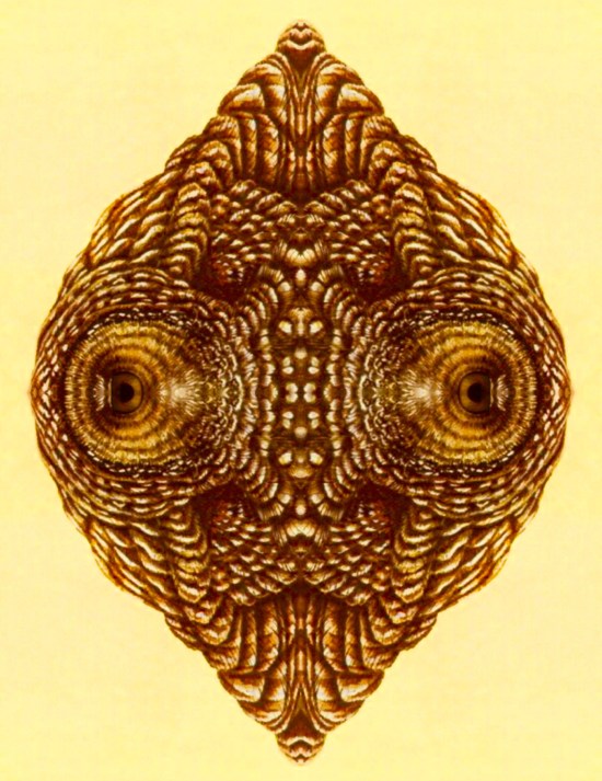 7 The Eagerness of Bubbling Eyes