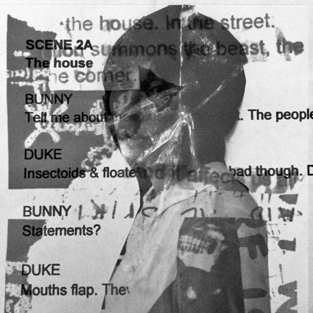 vile-plumage-webofthe-eellady