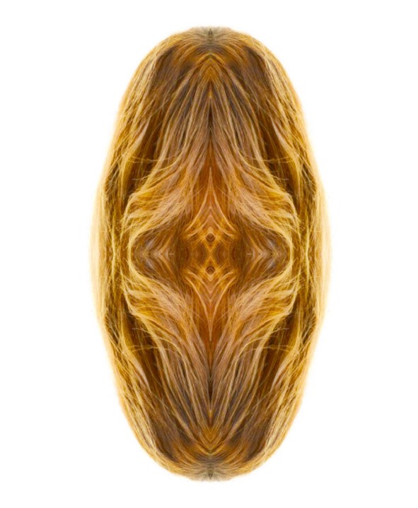 7 The Mirror's Shimmering Lipstick