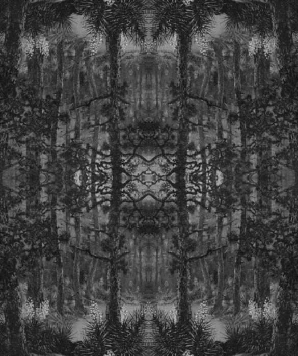 8 The Last Feather Bending in the Wind