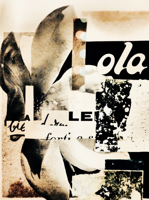 vispo_for_aom_hiromisuzuki_03