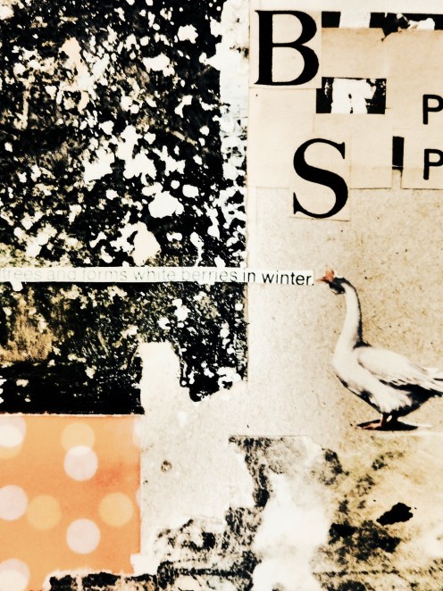 vispo_for_aom_hiromisuzuki_05